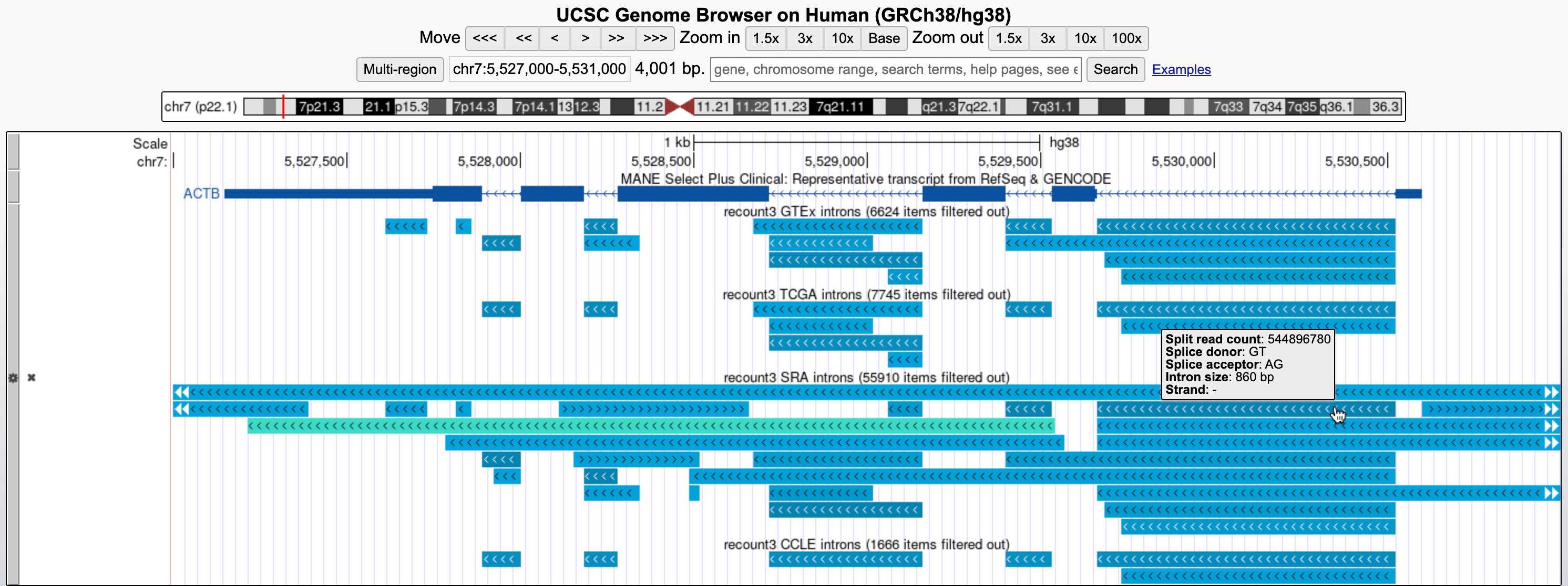 Browser display of the recount3 RNA-seq expression data track