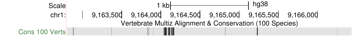 signal dense