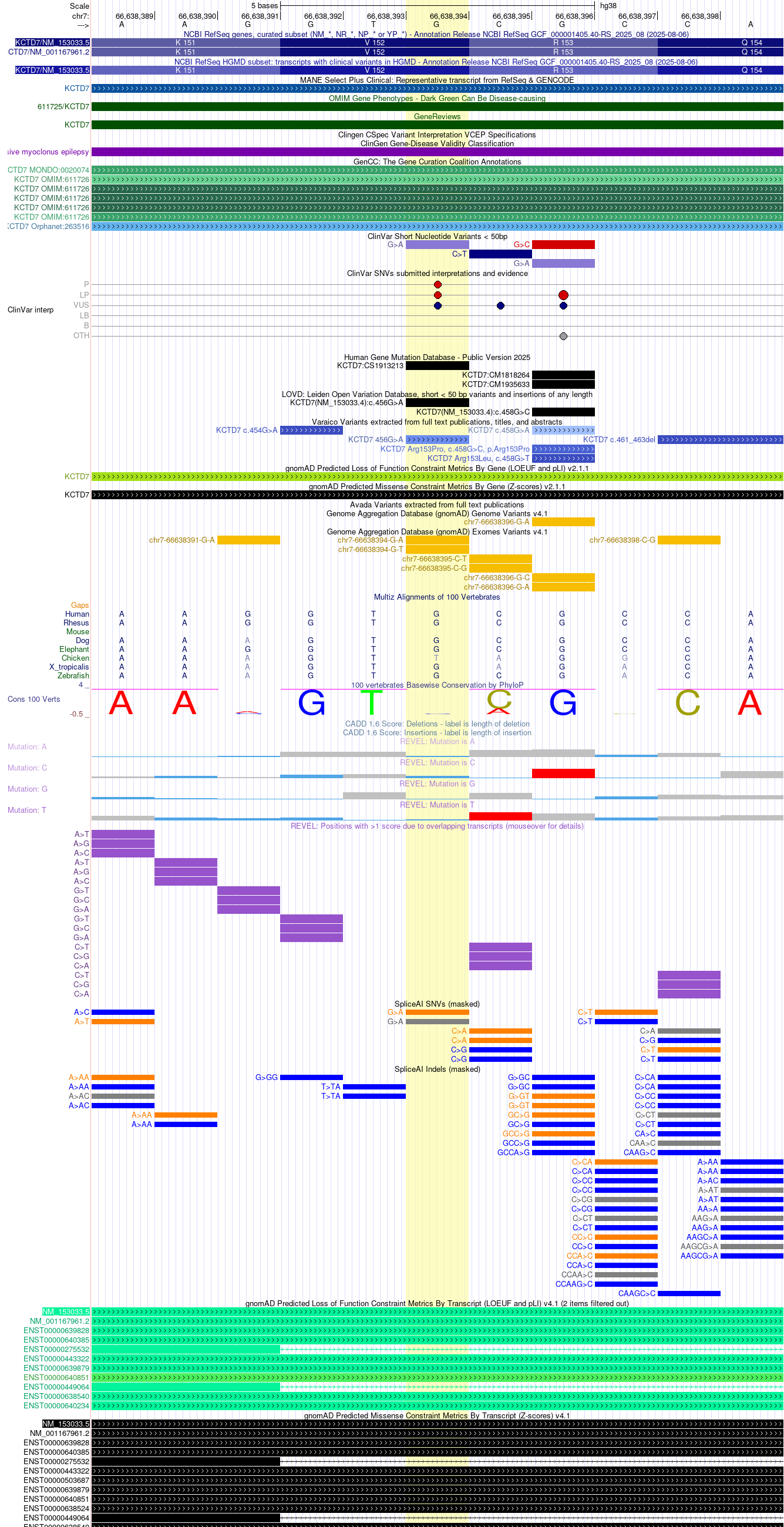 KCTD7 c.456G>A synonymous splice-affecting variant on hg38